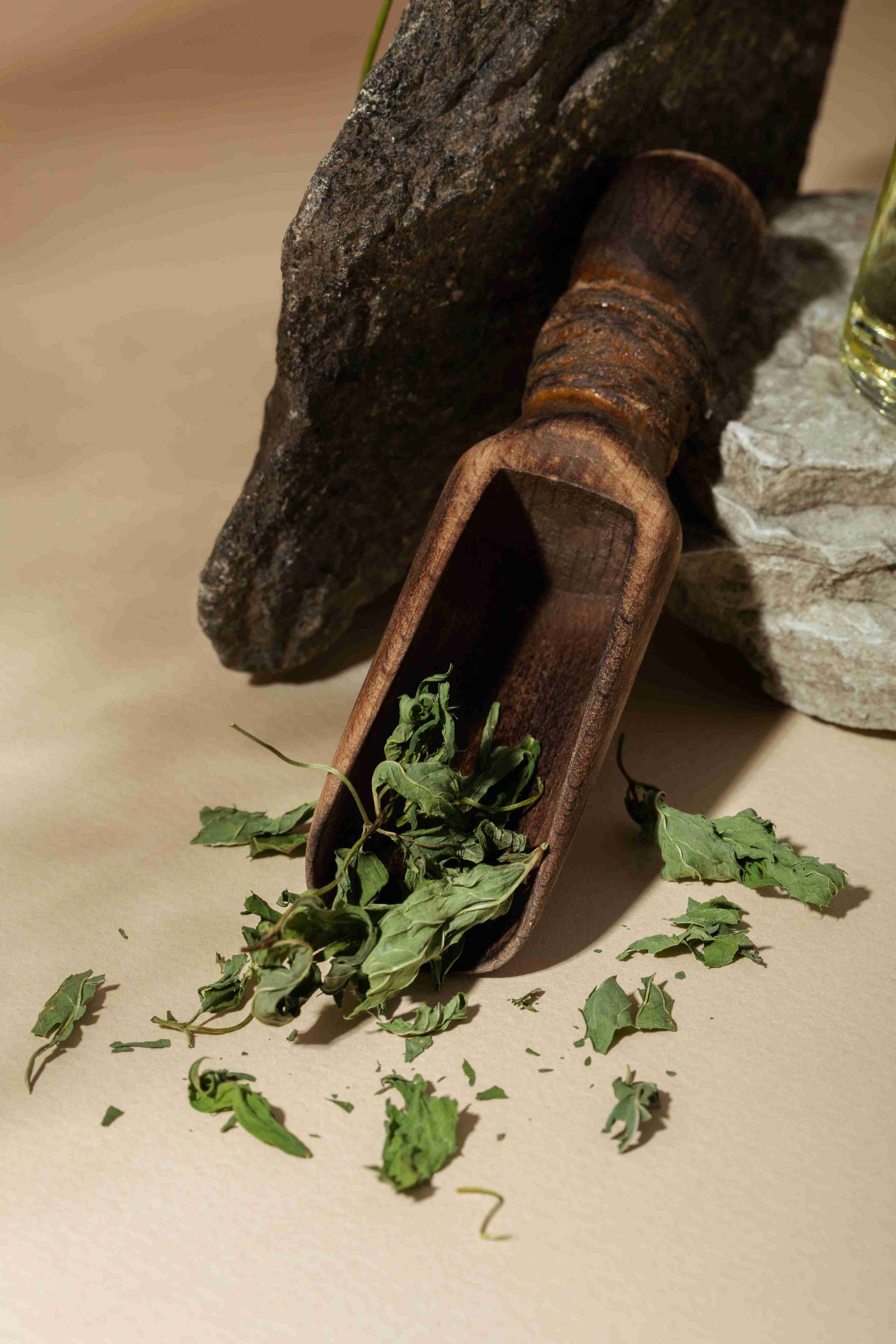 high angle phytotherapy items arrangement still life 11zon